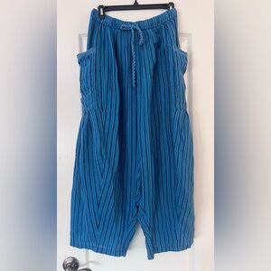 Free People quinn striped pants - blue